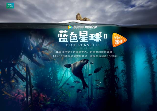 【免费】女搜查官特殊手段剧照1