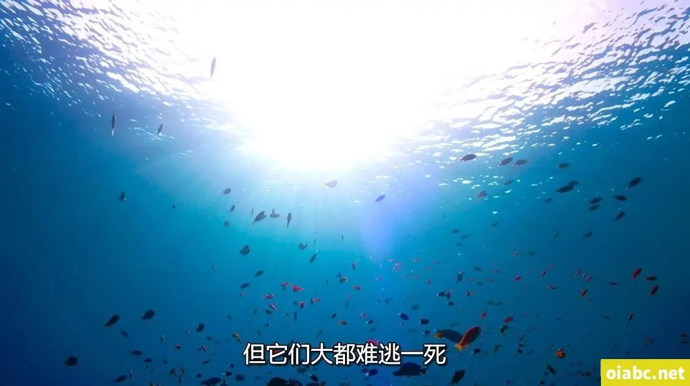 千夜一夜的梦剧照2
